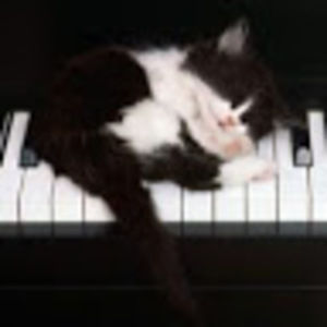 Meet your Posher, Mara